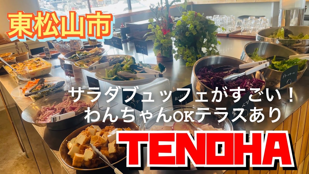 【埼玉グルメ】お野菜たっぷり・サラダからグラタンまで食べ放題✨おしゃれ空間で素敵なひととき