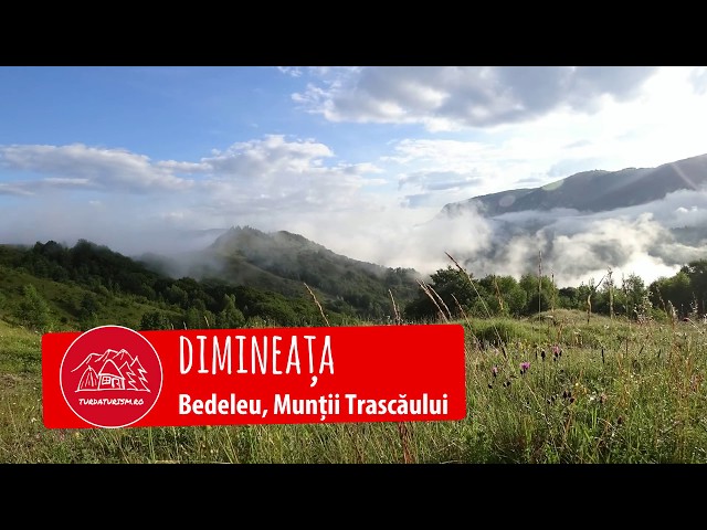 Bedeleu ... dimineata