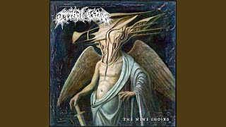 Tribal Gaze - Shapeless Sovereign