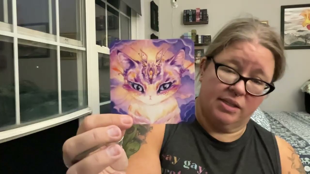 Catffirmations 🧿 … Night Magic