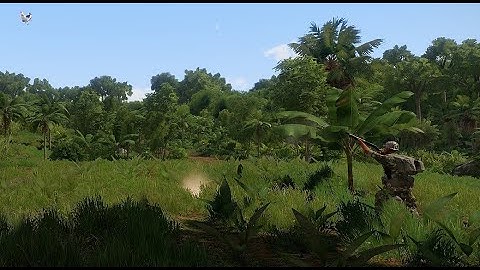 SOG AI Preview - Montage of AI hunting birds (progress!)