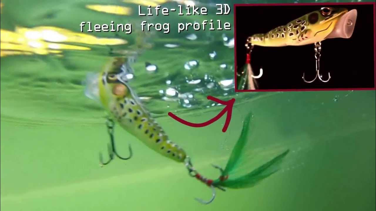 Lifelike Koppers Fishing LIVETARGET Frog Popper