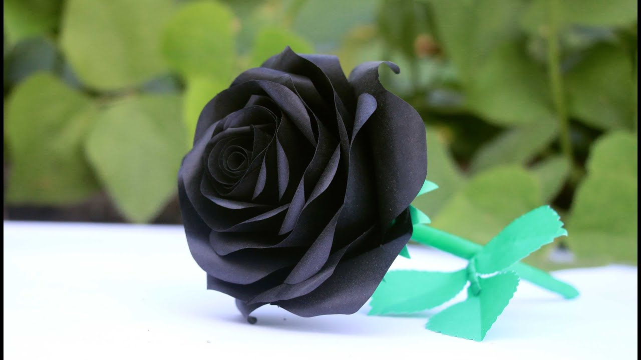 Beautiful Black Rose Paper Flower Making /Paper Rose Flower idea. 
