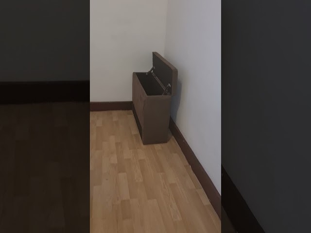 Video 1: