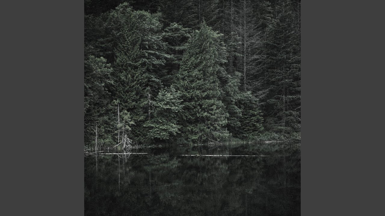 Watch Forest Chants on YouTube Watch Forest Chants on YouTube