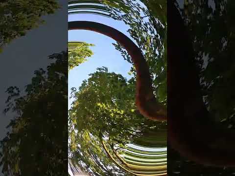 عالم مثل مقلوب