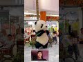 cute panda and Ghost prank 😁🥰#shorts #shortsfeed #funny #comedy #trending #shortvideo #viral #video