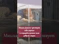 Мишка Диксон из Московского зоопарка передаёт привет всем добрым людям