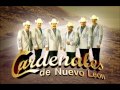 Los Cardenales de Nuevo Leon 2014