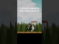Oathblade will be my first game - time to get to work! #gamedev #indiedev #ue5 #platformer #pixelart