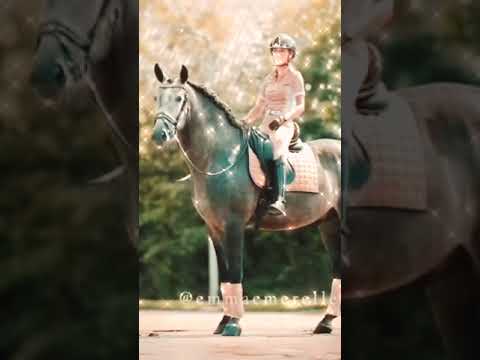 Video: Eriskay Pony Horse Irk Hipoalerjenik, Sağlık Ve Ömrü