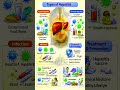 Types of Hepatitis  | Hepatitis A, B, C, D &amp; E | Causes, Prevention &amp; Treatment#hepatitis #shorts