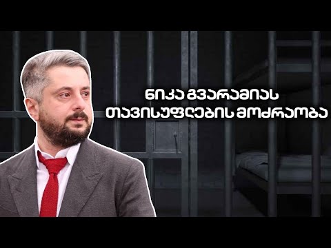 ექიმები, იურისტები და ხელოვანები | ნიკა გვარამიას თავისუფლების მოძრაობა ფართოვდება