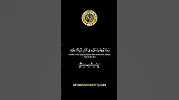 سورة الرعد الآية 15-17 تلاوة شيخ الشريم #اكسبلور