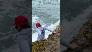 ⚠️ Danger! Rock #fishing‼️