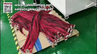 Fully Customized 2 Meters Extended Double Head Five Wire Terminal Crimping Machine