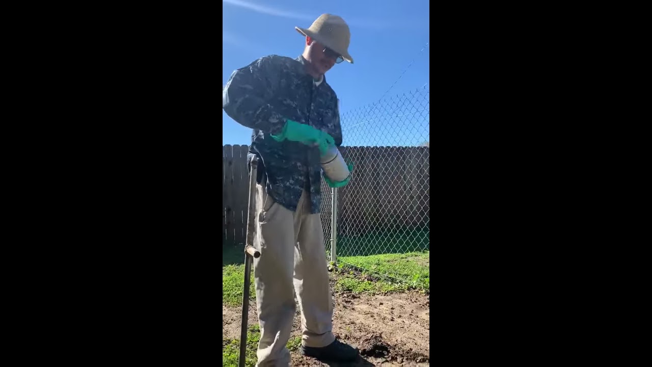How To Get Rid Of Raccoons 