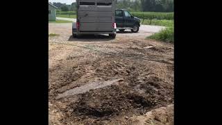 2nd cutting haylage