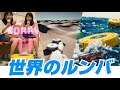 世界のルンバ