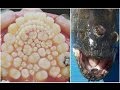 11 Shocking Mutations Caused by Radiation