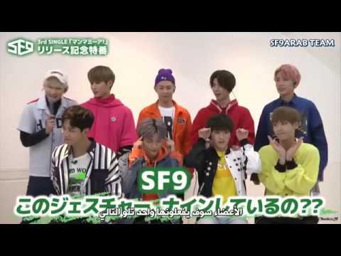 SF9   Interview ABEMA Freshlivetv   Arabic Sub 