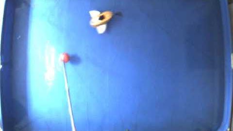 vision-based target tracking