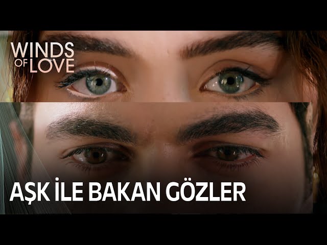 Will Zeynep and Halil make a couple? | Winds of Love Episode 96 (MULTI SUB) class=