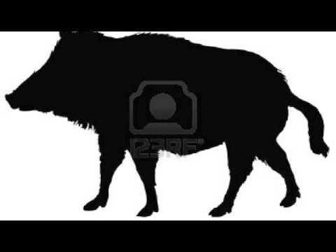 Gibbo E L'esofago Video