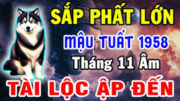 Tháng 11 Âm Lịch: Mậu Tuất 1958 Bùng Nổ Vận May – Điều Chắc Chắn Sẽ Xảy Ra!