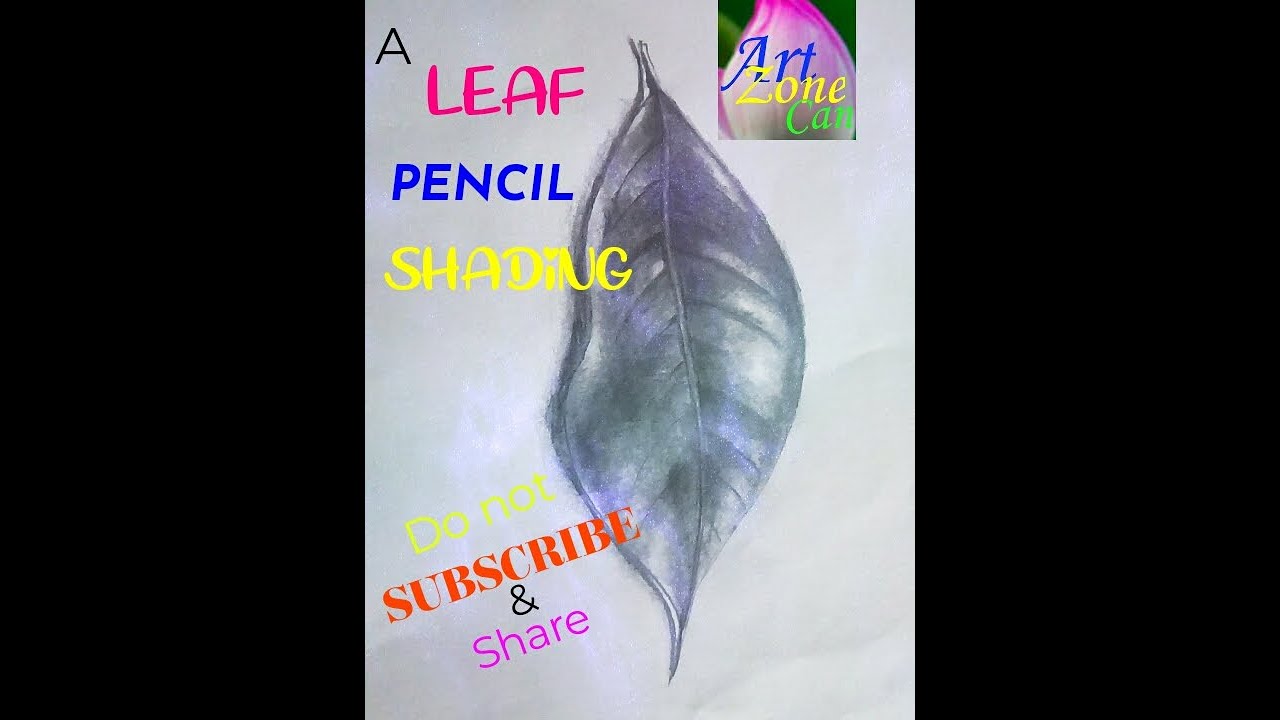  Pencil Drawing - YouTube