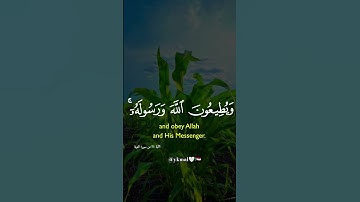 سورة التوبة القارئ خالد الجليل