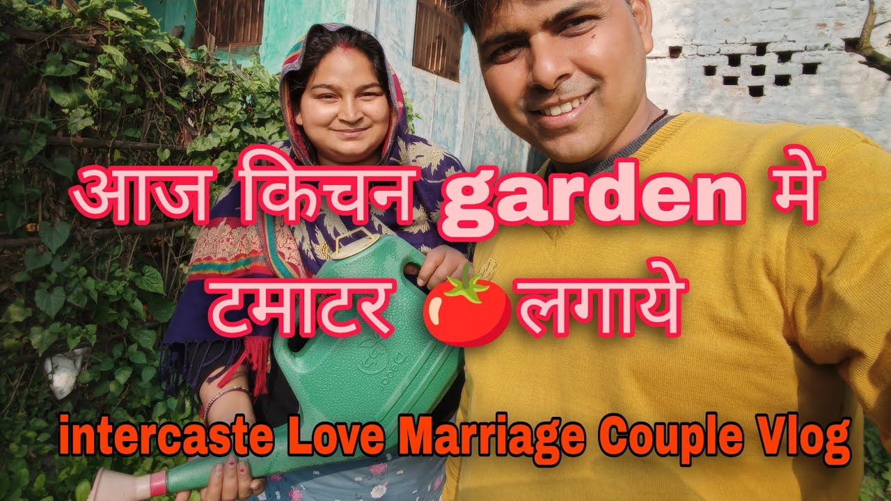Kichan garden मे टमाटर🍅 लगाये🍆