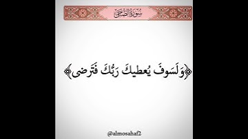 ولسوف يعطيك ربك فترضى ♥ #تلاوة_خاشعة #quran #gaza #motivation #relaxing #قران_كريم