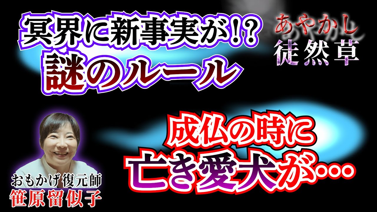 【心霊秘話】霊と神様ここだけの秘密#30 昇天を愛犬がお迎え!?冥界の不思議な秩序