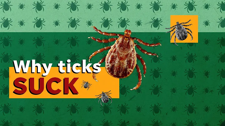 Are you risking Lyme disease? Here’s how to remove ticks