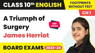 A Triumph of Surgery - James Herriot | Class 10 English  Literature Chapter 1