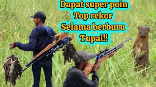 Download Lagu Berburu || Nyanggong Tupai ‼️Invasi ke-4 di spot GandrungMangu kembali membuahkan hasil luar biasa🔥 MP3