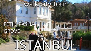 Walk in the Fetih Pasha Grove: Istanbul