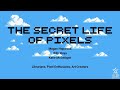 The Secret Life of Pixels