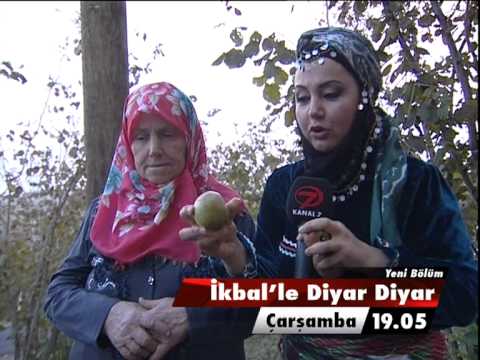 İkbal'le Diyar Diyar