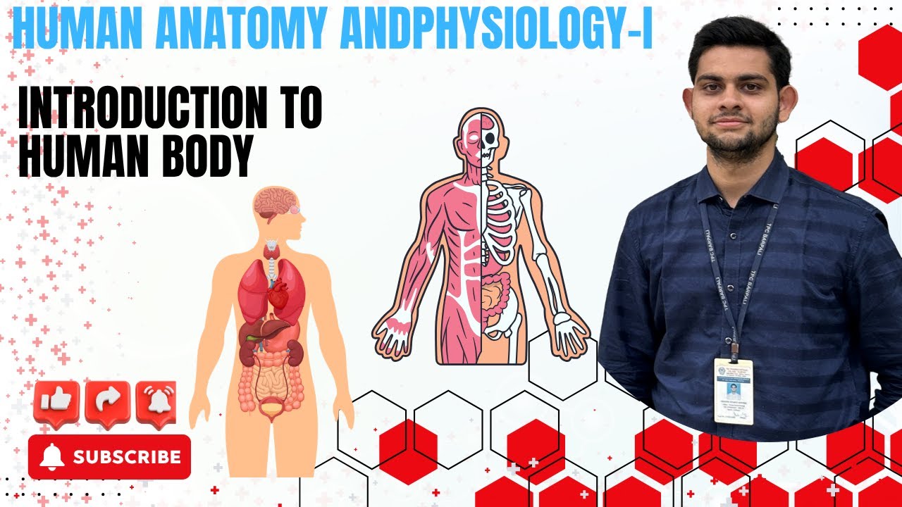 HUMAN ANATOMY ANDPHYSIOLOGY-I | Introduction to human body (Unit-1) | B pharm 1st semester