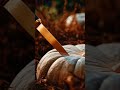 Cutting vegetables pumpkin cut asmr fruit #foodasmr #soundon #satisfying #asmr #aiclips #clipclop
