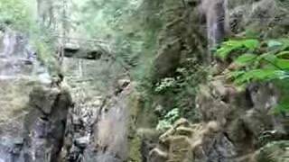 Matt Jumps into Opal Pool