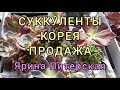 Суккуленты Корея. Продажа.