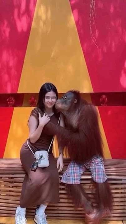 Cewek Cantik di cium sama monyet #shorts