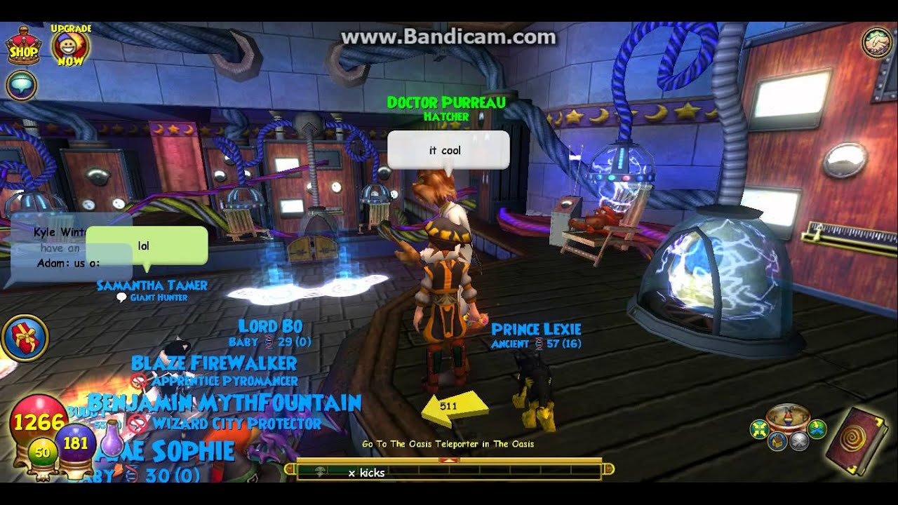 Wizard101 COOL Pet Pavilion glitch YouTube