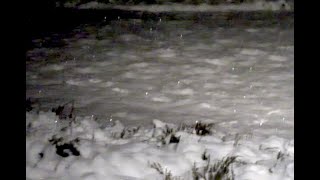 Problem #80 - Reflections off Snow