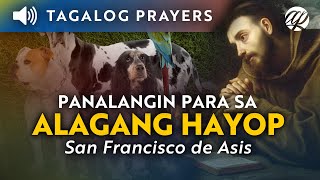 Tagalog Pet Blessing Prayer • St. Francis of Assisi • Panalangin at Pagbabasbas sa Alagang Hayop