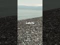 #latchibeach #summer #india #travel #punjabi #pool #game #foryou #viral #pakistan #viralvideo #god