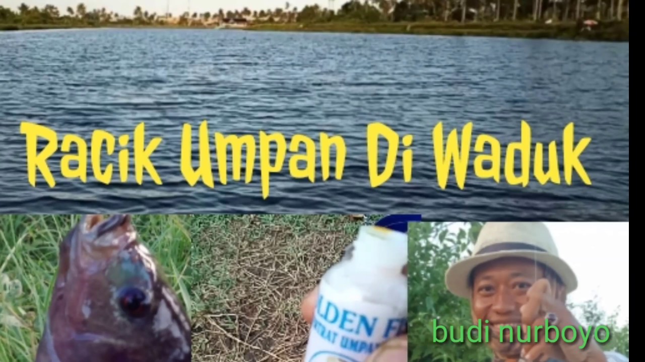 Cara Racik Umpan - Essen Umpan Nila Babon || alam liar